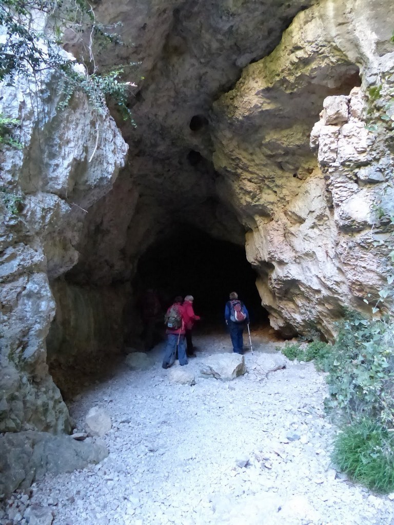         Cheval blanc - Gorges du régalon - Lundi 25 avril 2016 TYCpq1