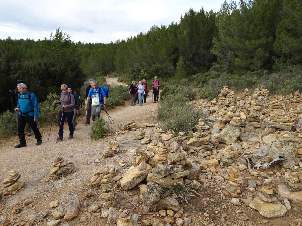 Le Tholonet - Jeudi 14 mars 2019 W5e1W9