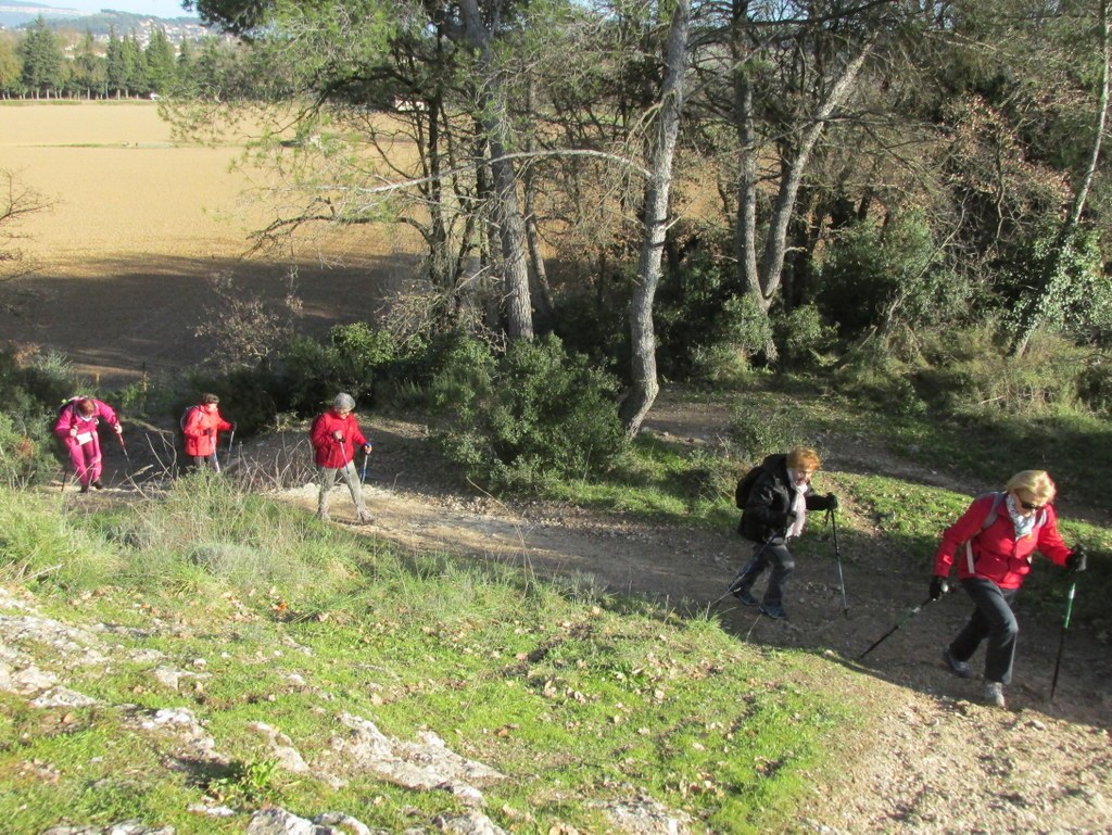 Gardanne- La Luynes - Jeudi 3 janvier 2019 YCY2kA