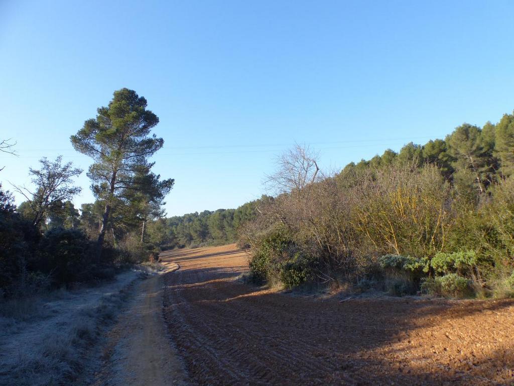 (Jean-Marie et Gérard) Gardanne - Jeudi 26 janvier 2023 YUmQuz