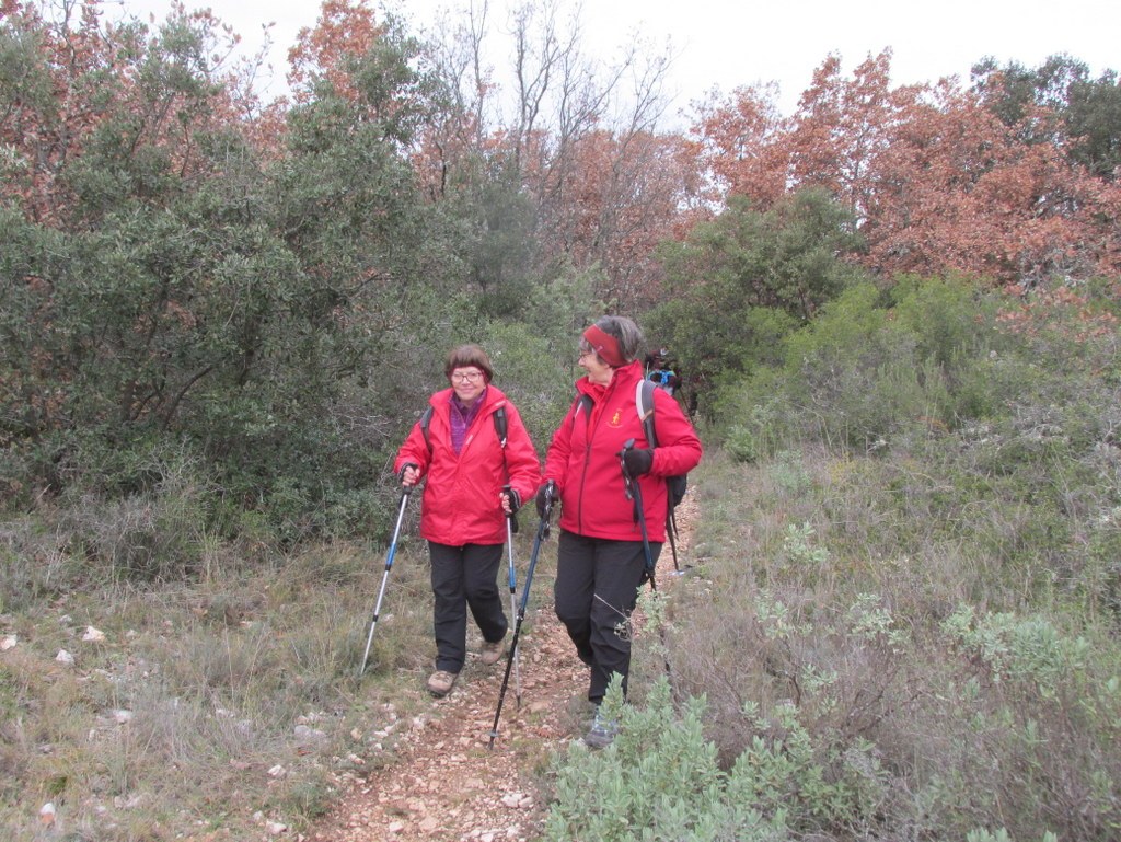 Pourrières - Jeudi 5 décembre 2019 Rando JM et Gérard - Photos Arlette et Roland AKI8mt