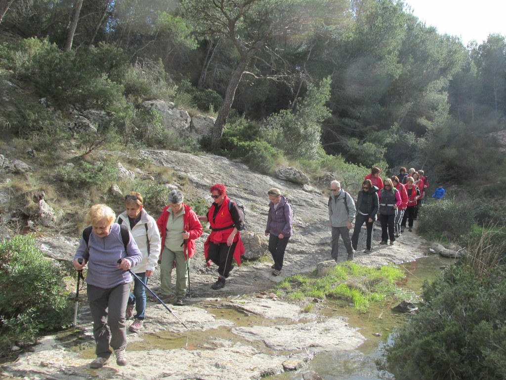 Ensuès - Calanque des eaux salées - jeudi 3 mars 2016 AcWSIX