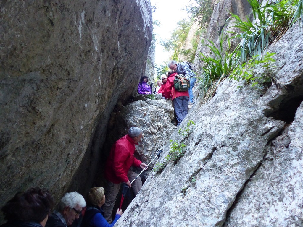         Cheval blanc - Gorges du régalon - Lundi 25 avril 2016 BRk9Ih