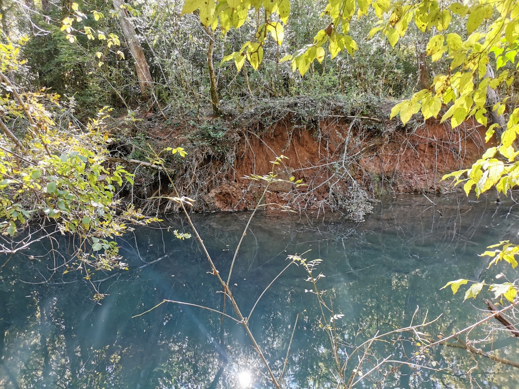 (René et Jes) Sillans la cascade - vendredi 22 octobre 2021 Bufjsf