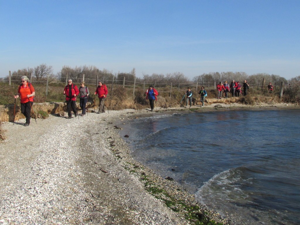 Berre l'Etang - Jeudi 28 février 2019 D8EqJY