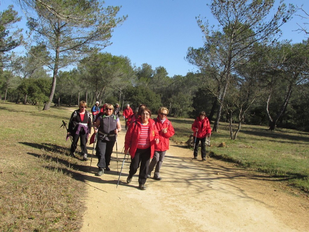 Cornillon - Confoux -Samedi 25 février 2017 EWRD25