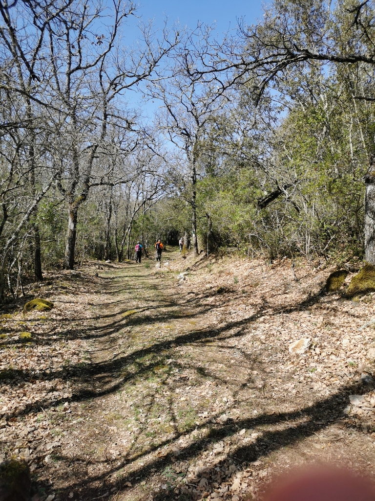 (René et Jes) Vauvenargues - Jeudi 1er avril 2021 EuFk9b