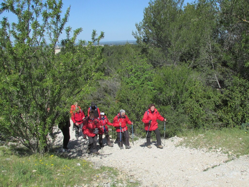 Randonnée culture Arles - Fontvieille - lundi 6 mai 2019 HFYN7P