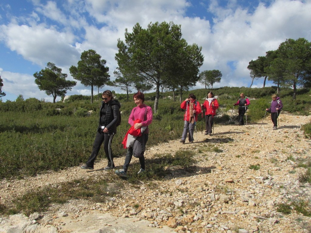 Ensuès - Calanque des eaux salées - jeudi 3 mars 2016 HO7SOK