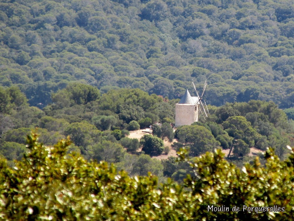 Porquerolles avec Jean Marie - jeudi 23 juin 2016 IYUl1S