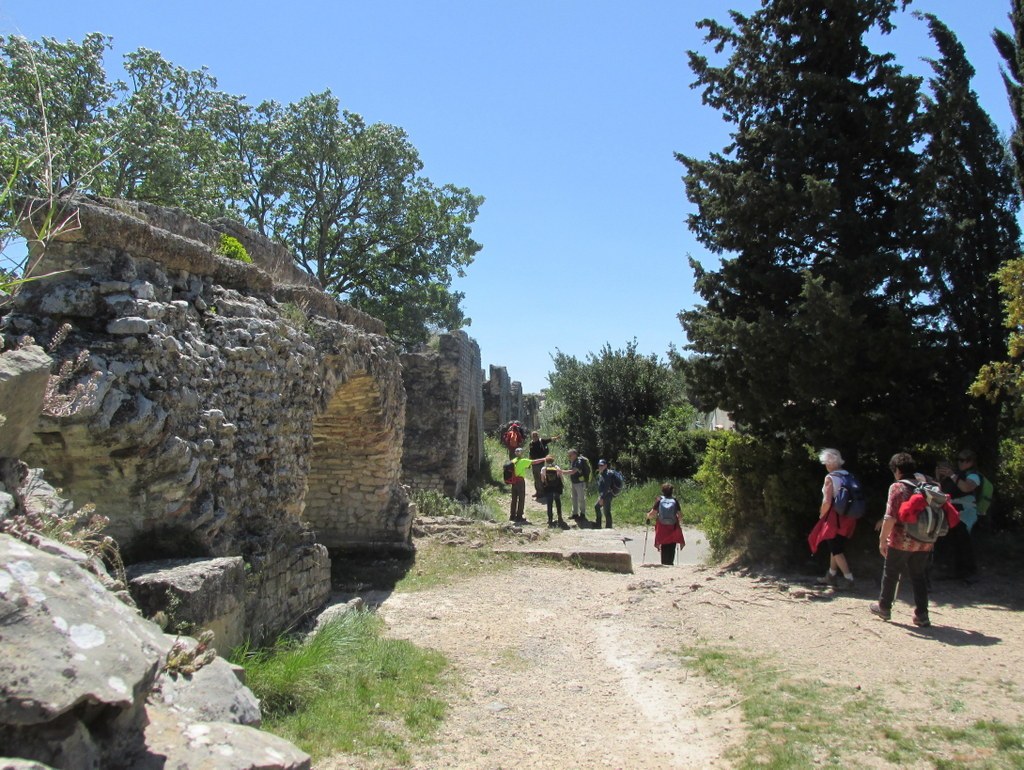 Randonnée culture Arles - Fontvieille - lundi 6 mai 2019 Jd36A4