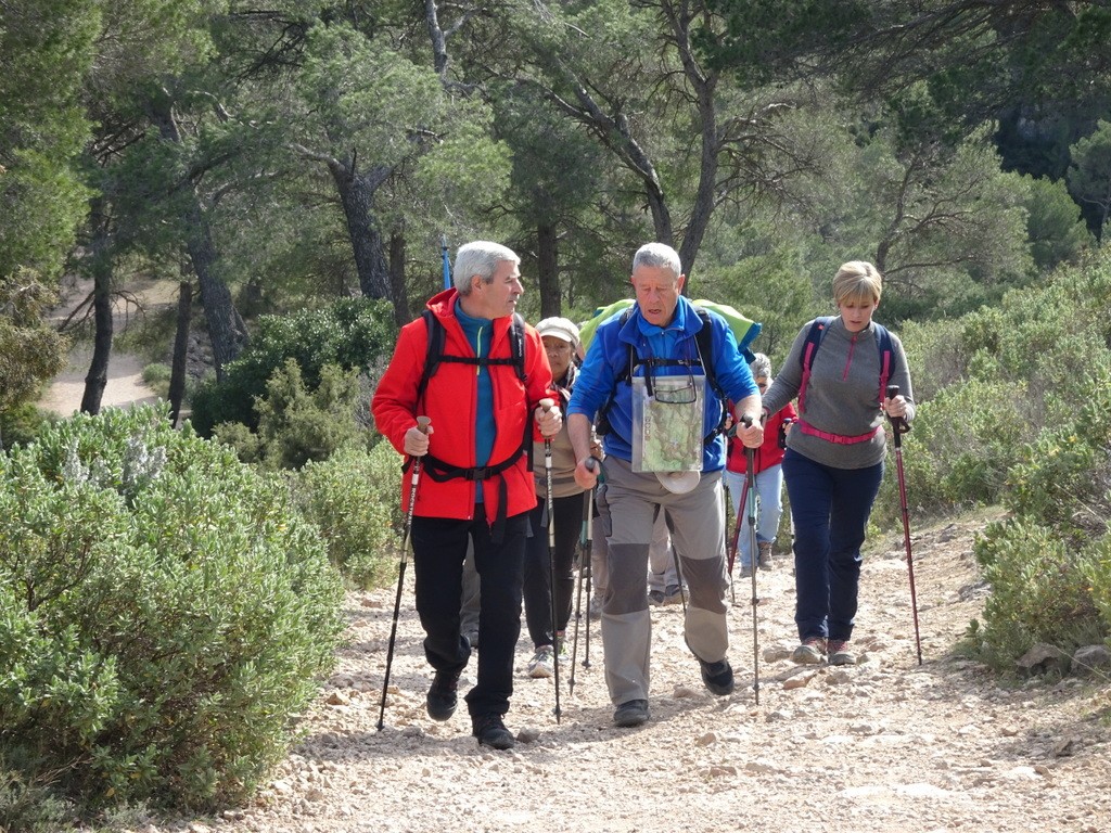 Le Tholonet - Jeudi 14 mars 2019 L05lIb