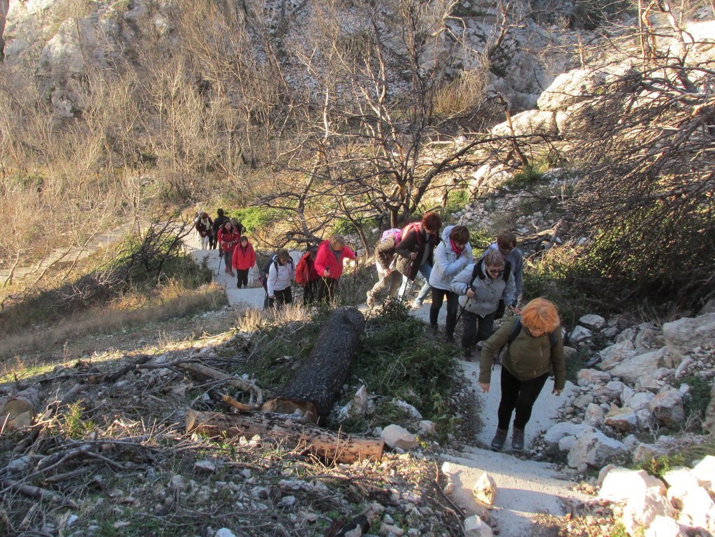 Ensuès - Calanque des eaux salées - Jeudi 18 janvier 2018 L6NiL2