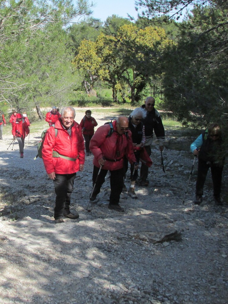 Randonnée culture Arles - Fontvieille - lundi 6 mai 2019 M1avwI