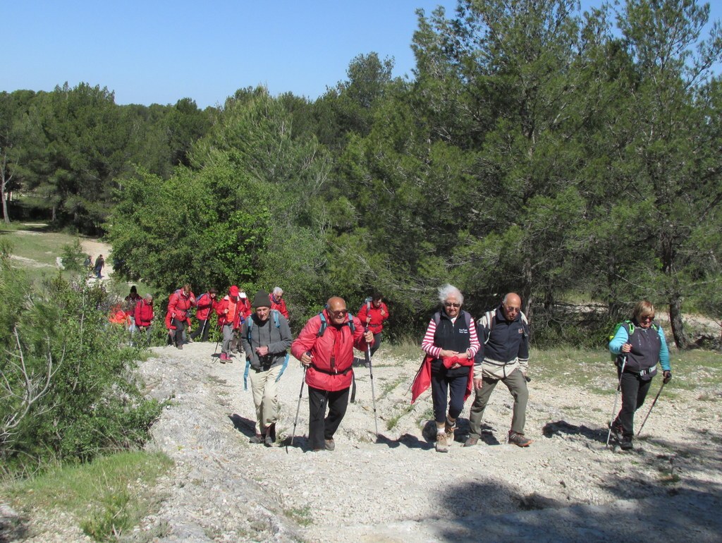 Randonnée culture Arles - Fontvieille - lundi 6 mai 2019 Q4nqGC