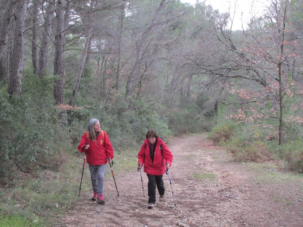 Peypin - Jeudi 16 janvier 2020 TGEnjM