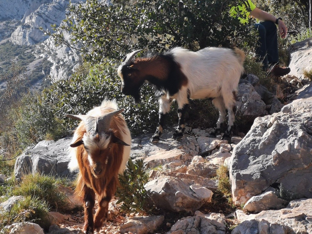 Puyloubier - Jeudi 20 février 2020 TRseNo