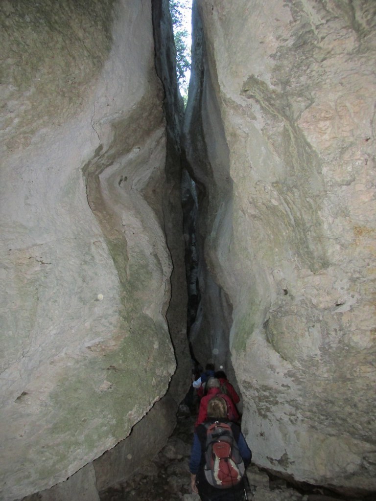         Cheval blanc - Gorges du régalon - Lundi 25 avril 2016 Tsa0ol