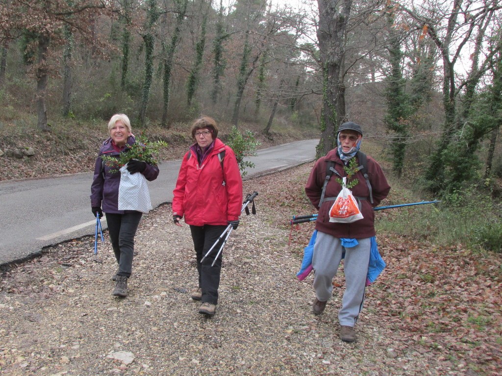 La Roque d'Anthéron - Jeudi 12 décembre 2019 - Groupe J.M et Gérard  UOWX5j