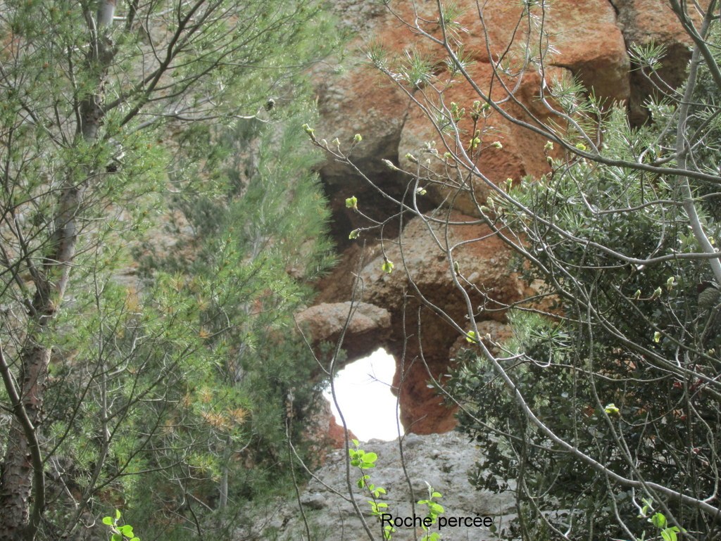 Le Tholonet - Jeudi 25 avril 2019 Ut1suw