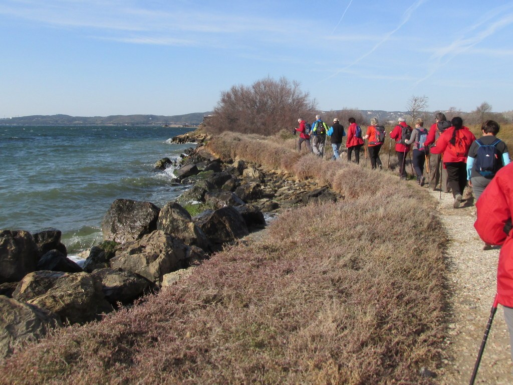 Berre l'Etang - Jeudi 28 février 2019 W24GK9