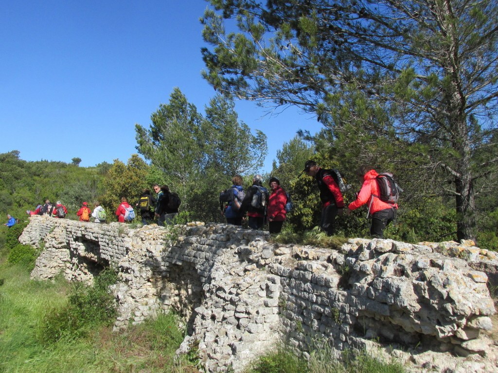 Randonnée culture Arles - Fontvieille - lundi 6 mai 2019 ZOY59i