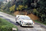 WRC 1984 WMWz3U