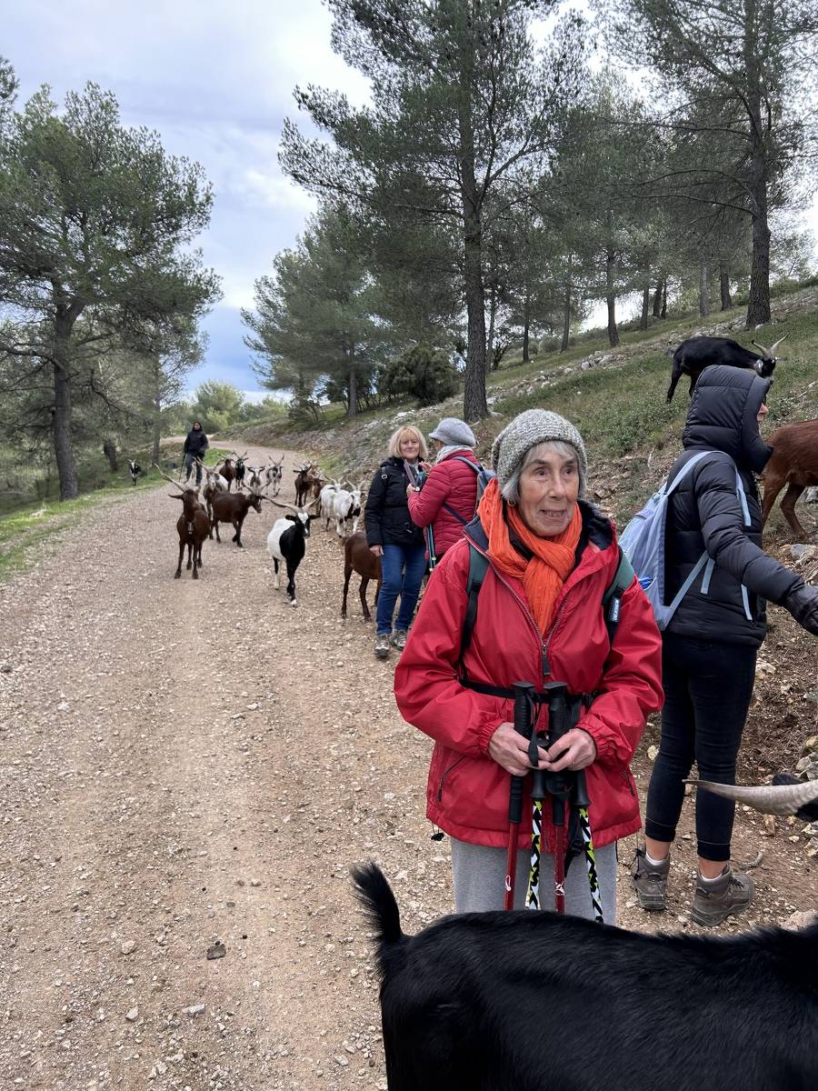 ( Colette ) Septèmes - Jeudi après-midi 21 décembre 2023 QNc1xd