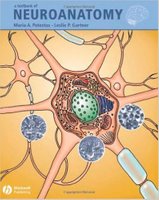 A Textbook of Neuroanatomy  X32Gzv