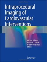 Intraprocedural Imaging of Cardiovascular Interventions J5xNAX