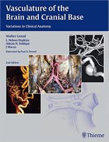 Vasculature of the brain and cranial base Jxhysq