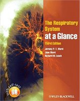 The Respiratory System at a Glance UfNuro