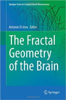 The Fractal Geometry of the Brain  DImHMC