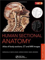 anatomy - Human Sectional Anatomy Atlas of Body Sections, CT and MRI Images, Fourth Edition 4th Edition 2015 OEo1Fg