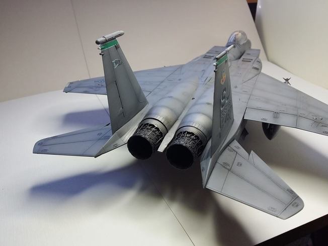 F-15 Strike Eagle ( Eduard 1/48) Jnkn