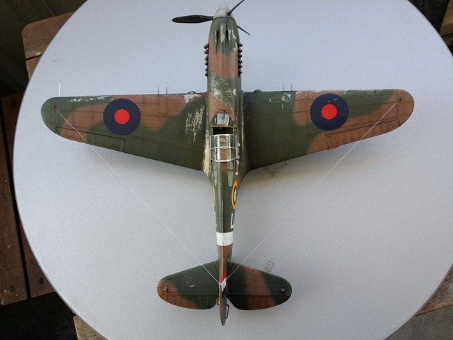 P-40 dio ( Trumpeter 1/32) Aaop