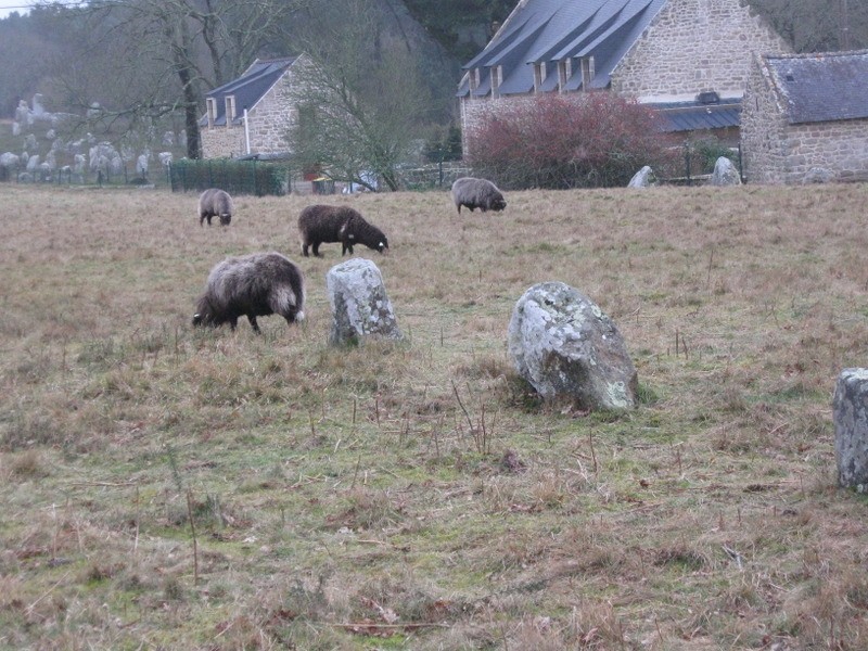 Ballade Carnac et ses environs PbVa30