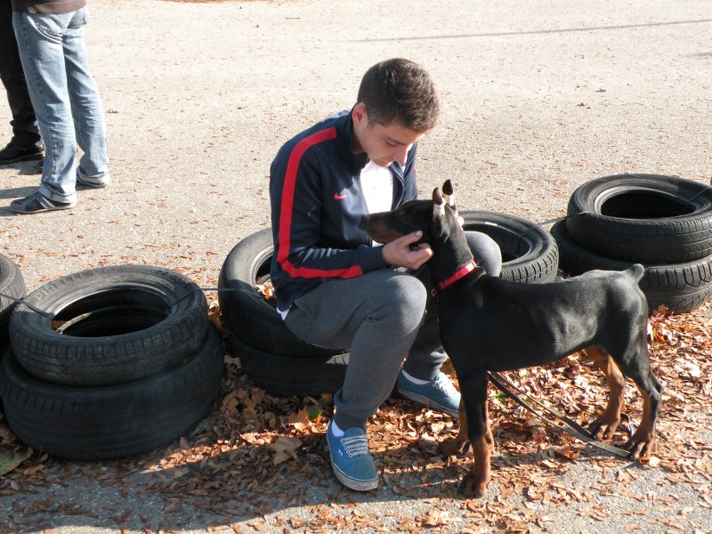 Ici les photos de la mensuelle LFPA  à Séléstat du 26.10.2014 TvLtSC