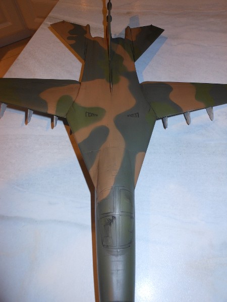 F-111 au 1/48 - Page 2 UEZeXm