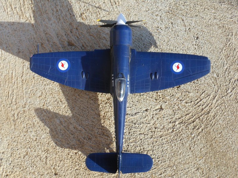 Sea fury 1/48 A3vONm