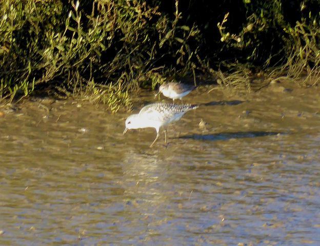 Ajuda na ID - Parque Tejo BtDoQs