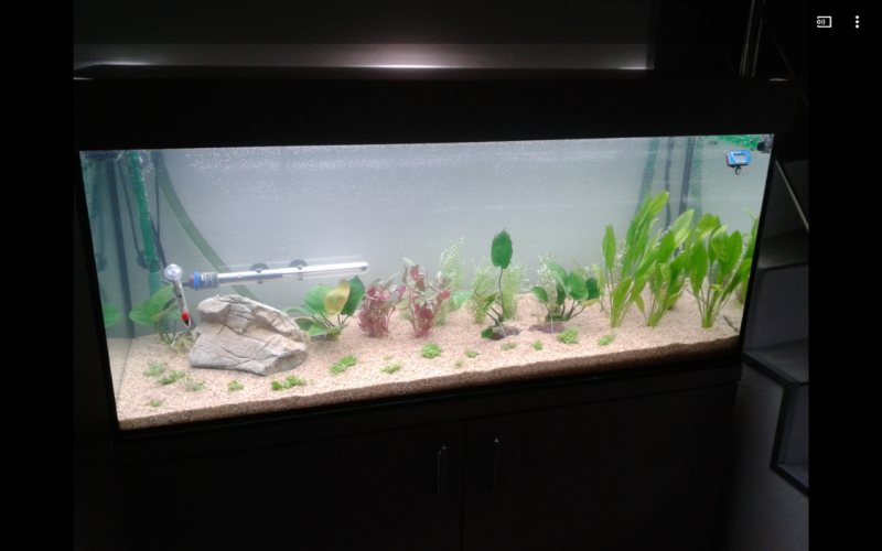 nouveau 240l + 40l betta Jy0W7e