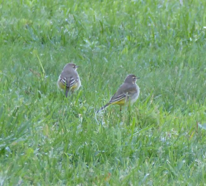 Ajuda na ID - Parque Tejo Zuq100