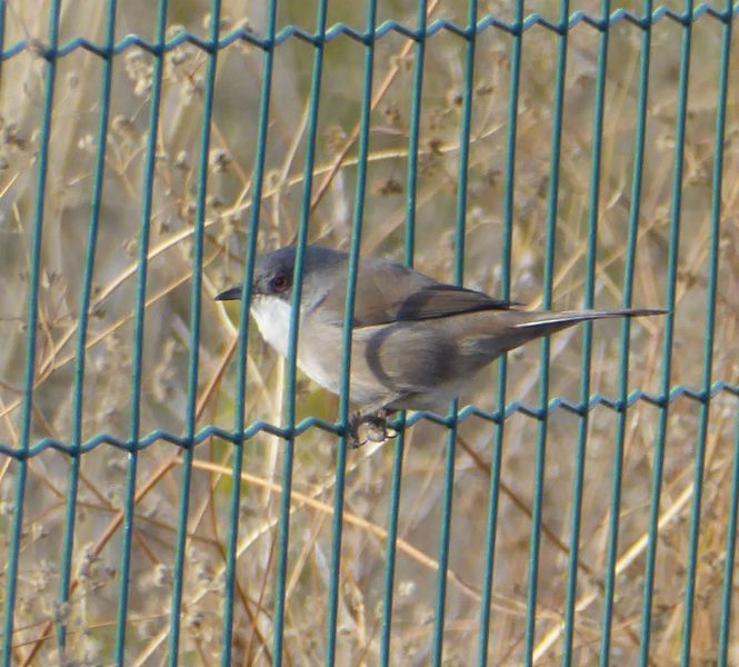 Ajuda na ID - Parque Tejo E5bdv5