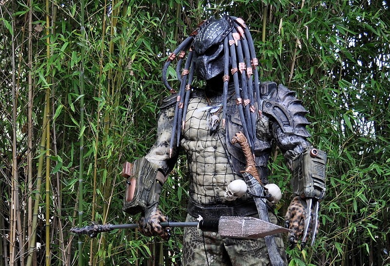 Tenue 6: Predator LYu0SF