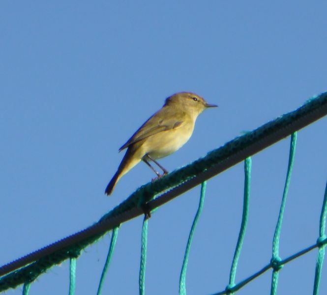 Ajuda na ID - Parque Tejo LSTu0h