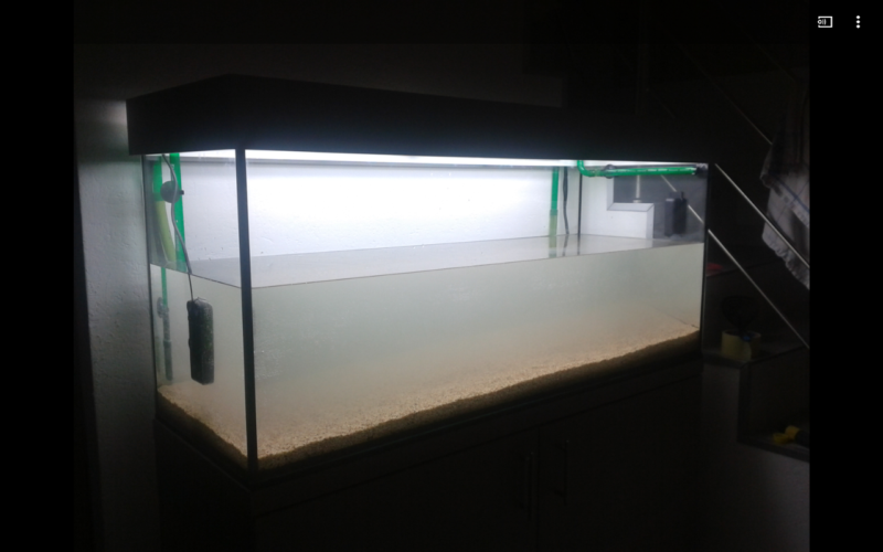 nouveau 240l + 40l betta FfElny