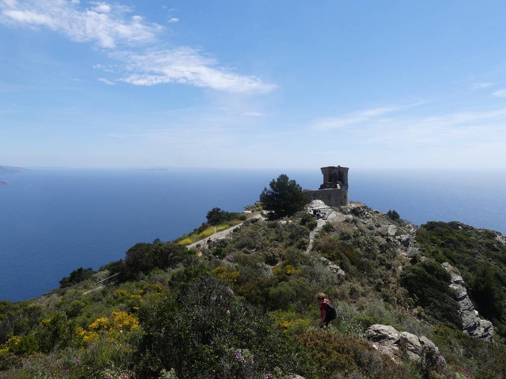 Le Brusc-Notre Dame de Mai-Cap Sicié-Jeudi 27 avril 2023 B8aEWg