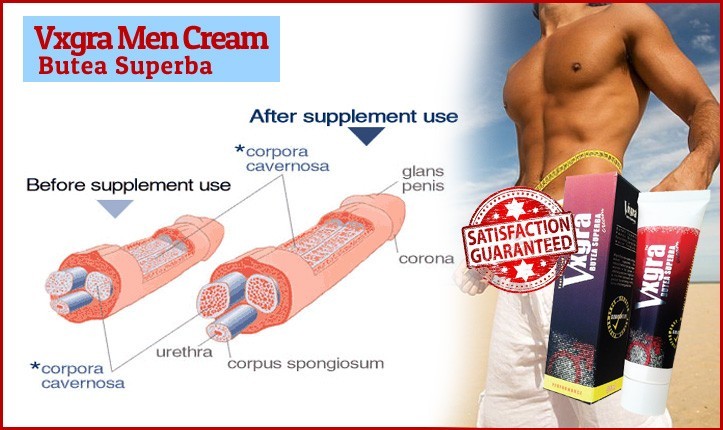 Vxgra Men Cream Treatment Tiub 30ml | TAHAN LAMA Kurg