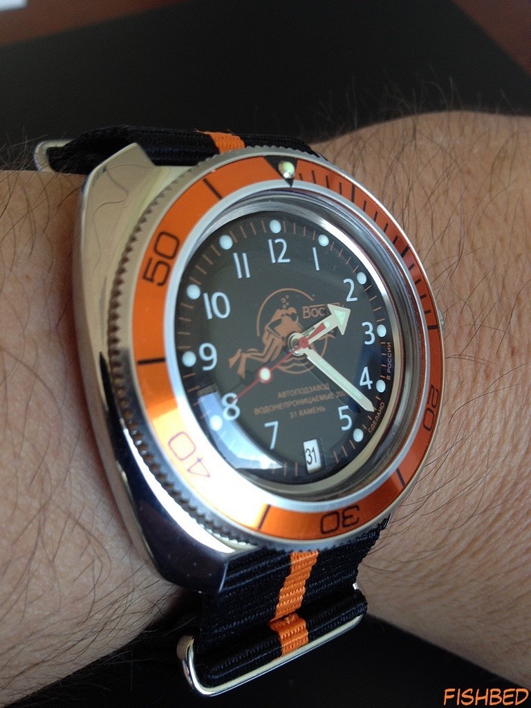 vostok - Feu de vos Vostok Amphibia - Page 20 3flVKC